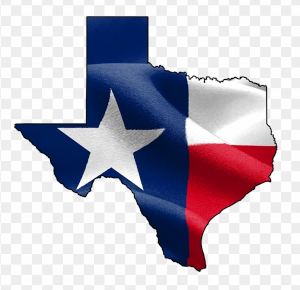 Shape and Symbol of Texas and it's flag merged together.